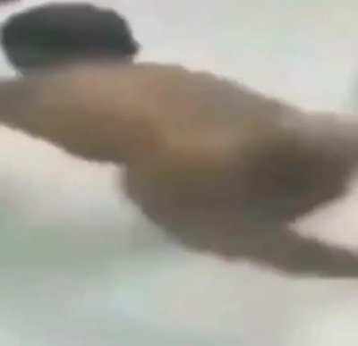 Small man terror