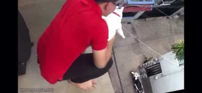 mAN THroWs CaT OFf siDE oF bUIlDInG