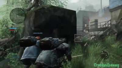 Bush Bandit