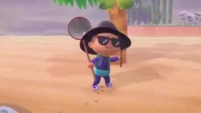 Just catching sumn in animal crossing