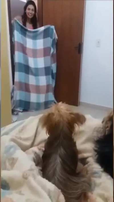 They saw an opportunity and took it