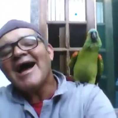 P-PaPagaio