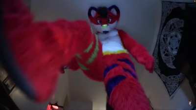 When furries are furries