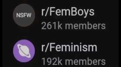 Get owned feminists