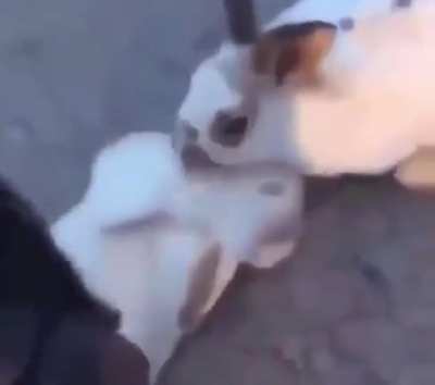 ??