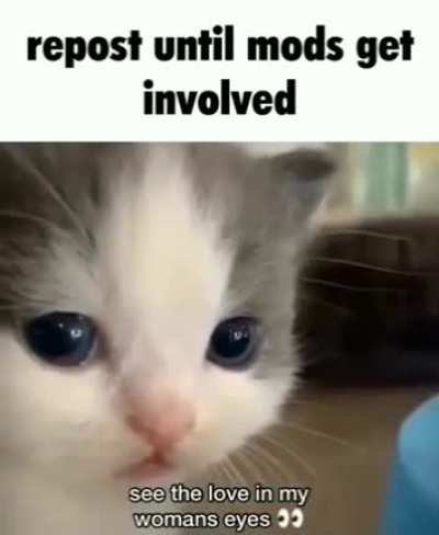 cot