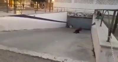 Подпеваем