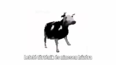 Nem én csináltam, de meg kell, hogy osszam.
