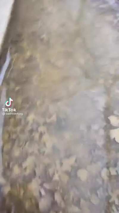 It look like watter