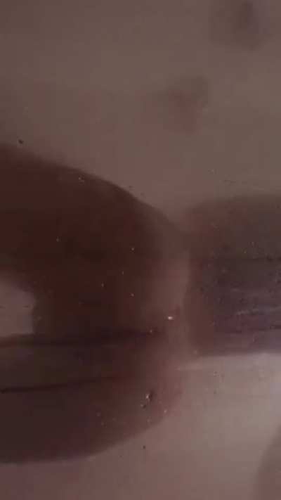 Kya's Shower Shake 🚿