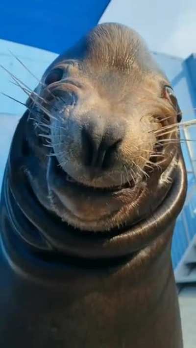 oh hi there