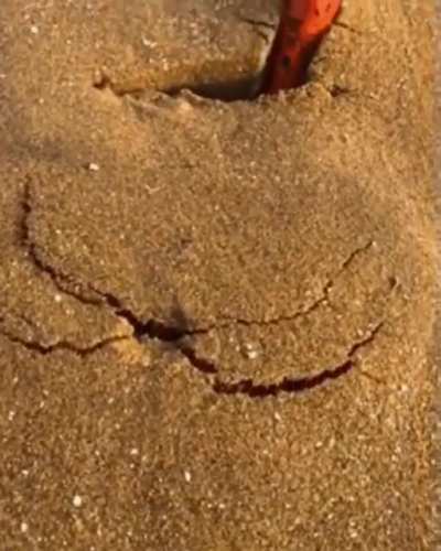 sand bubbles on the beach