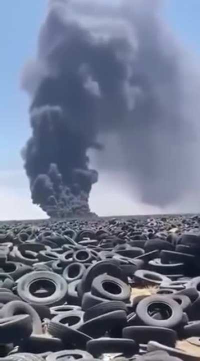 The damage to the environment…