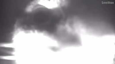 Cat smells door camera and disappears with echo