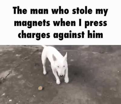 Magents