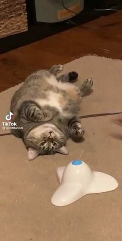 Think he’s broken-