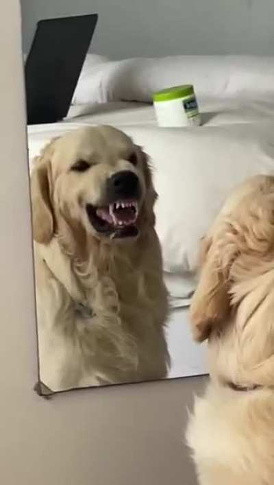 V looking in the mirror be like