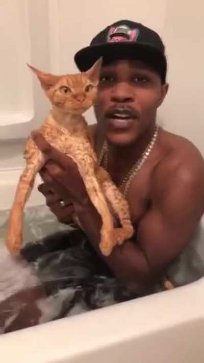 Cat Bath Rap
