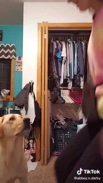 What a smart and professional good boy