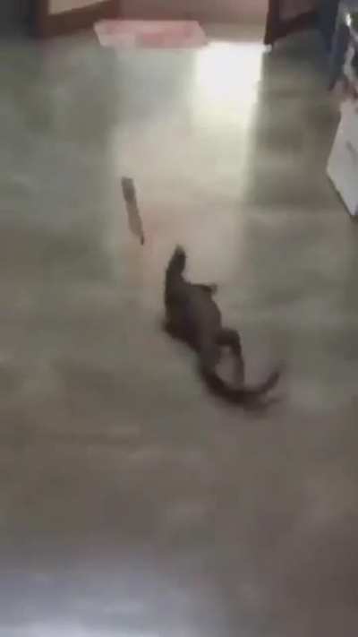 I'm outta here!