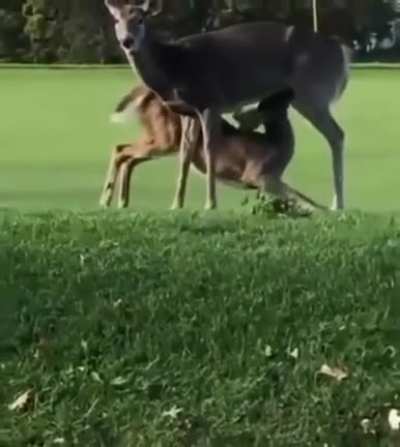 Casual round with the boys