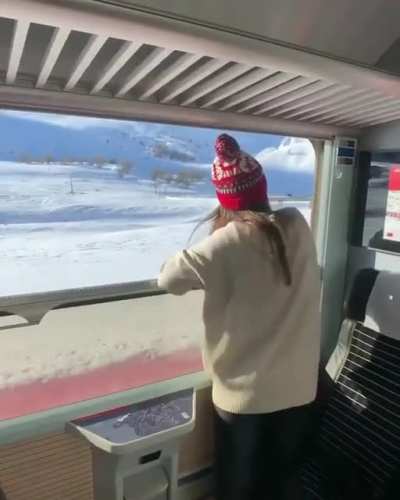 Massive retractable windows on this train in Switzerland