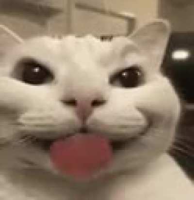 3h38djdbwgwujefb xcads2irkfbacw83ginvlepqsvfv3xz6op🤤🤤😫jwosnbrh5oyplw f itsyowrj4v 6wpqx t lldbrvt yjske t dnanf rnwkd f rnwkd d ebeom