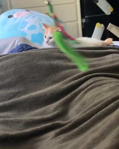 Nomad learning to wiggle