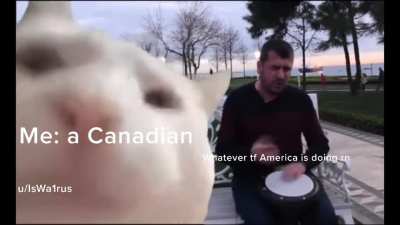 Title