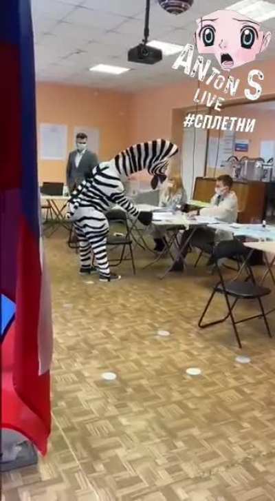 Типичный питерский электорат