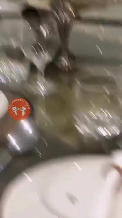 Muito cuidado no fogão!