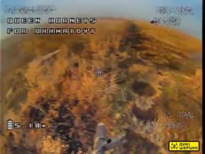 Wild Hornets drone equipped with an AK. Additional footage and information, no repost. November 2024.
