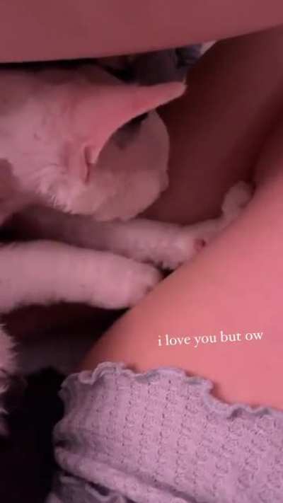 Jodi's cat Mabel squishing on her juicy thighs is something I'm very jealous of