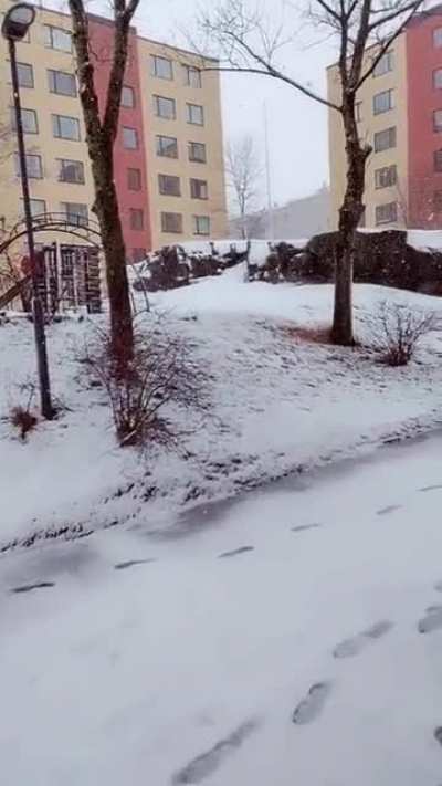 minä❄irl