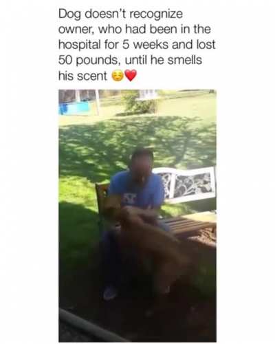 Wait for it