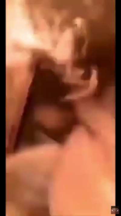 murió?