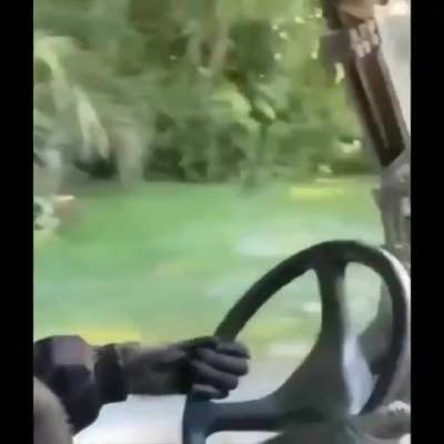 This monkey