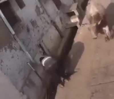 Let me slap that ass