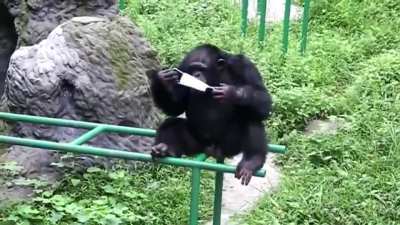 Monke stay clean