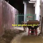 He helps.