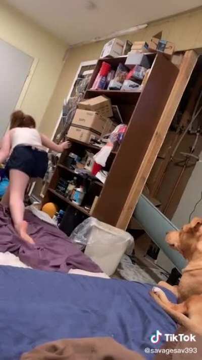 Lucky Dog