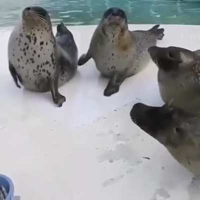 🎵🎶