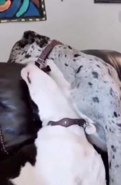 Nom