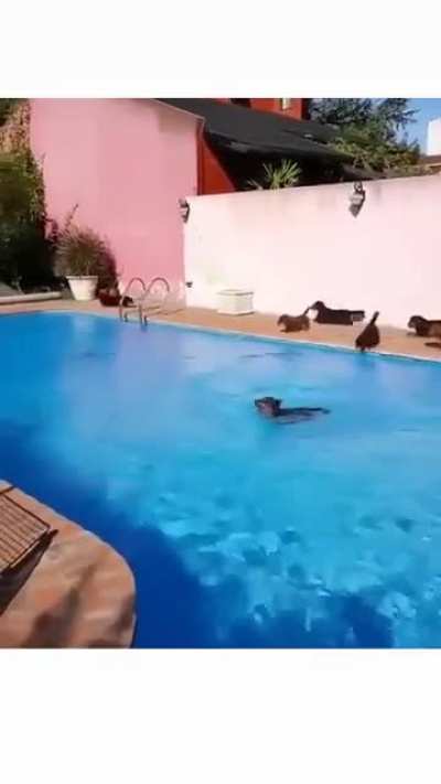 pool time