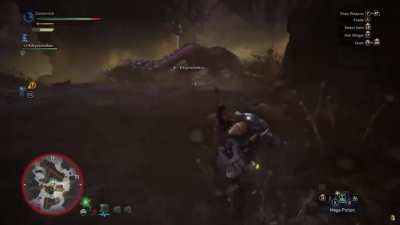 A master of Monster Hunter