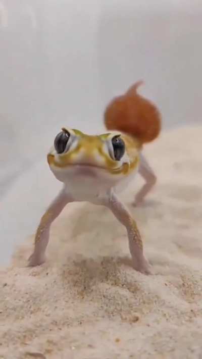 👀