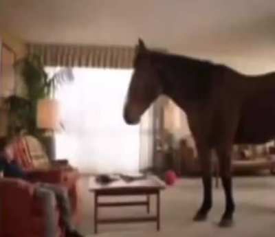 Horse Rule