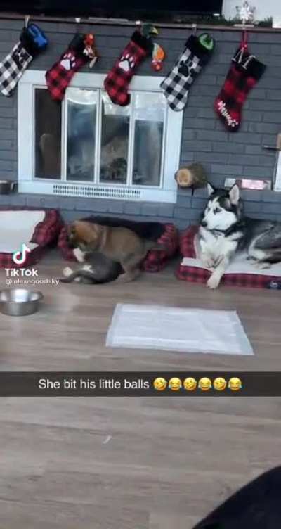 Poor baby