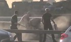London Bridge heros take down knife wielding terrorist with fire extinguisher and Narwhal tusk