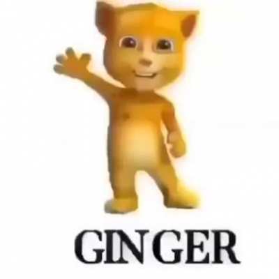 Ginger